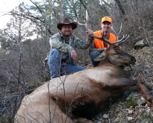Colorado Big Game Hunting