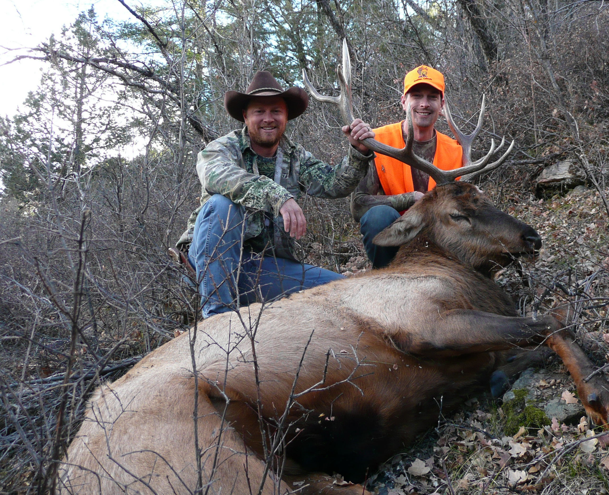 Jackson Outfitters Colorado Hunting Outfitters