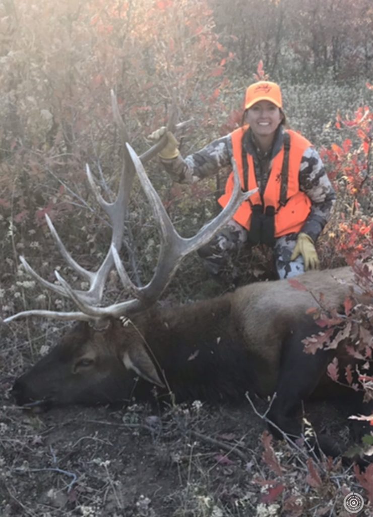 Colorado Trophy Elk Hunts Unit 61